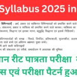 REET Syllabus 2025 in Hindi